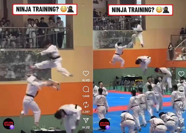 TSN 공식 인스타그램 캡쳐 화면 [사진=성신여대 창의융합학부 서경덕 교수팀 제공 ]