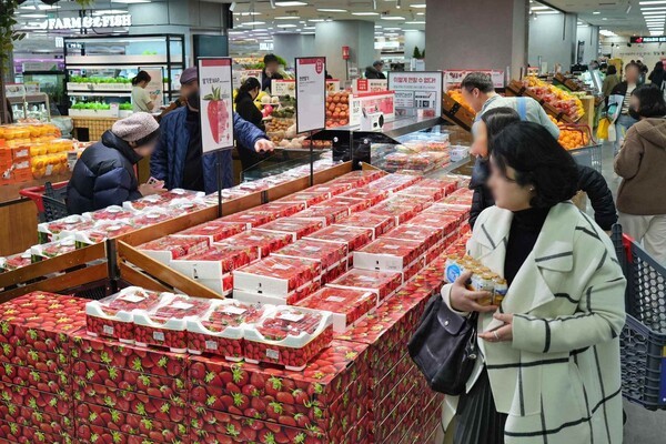 ‘윈터 해피딜’ 행사에서는 딸기 전 품목을 2팩 이상 구매 시 팩당 3,000원 할인된 가격에 선보인다. [사진=롯데마트]